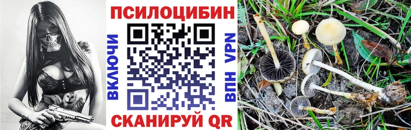 Галлюциногенные грибы ЛСД Александровск-Сахалинский